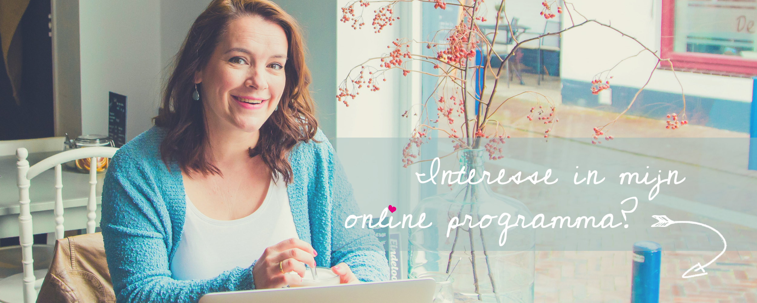 onlineprogramma